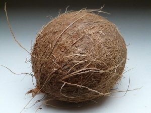 Plastic free- coconut scourer