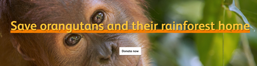 SOS orangutan charity campaign